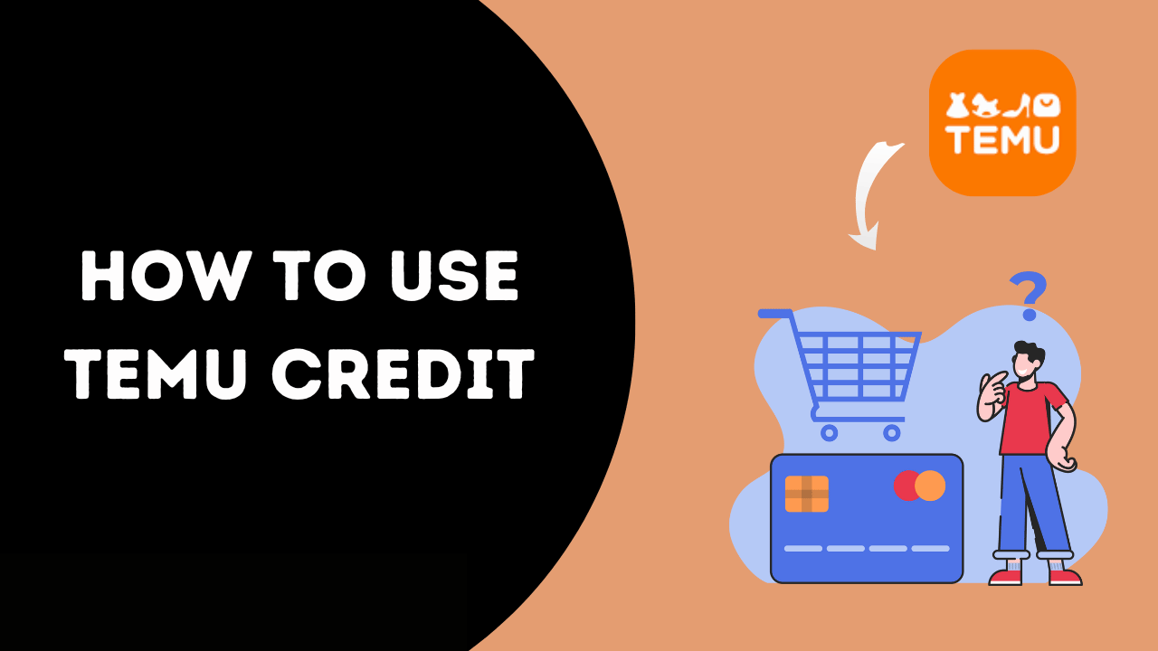 How to use TEMU Credit