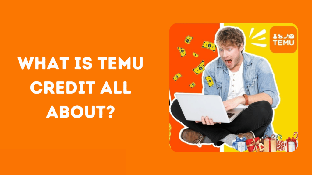 What is Temu Credit All About?