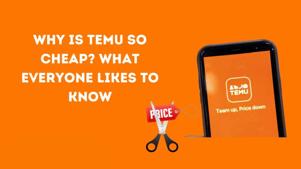 Why is Temu So Cheap?