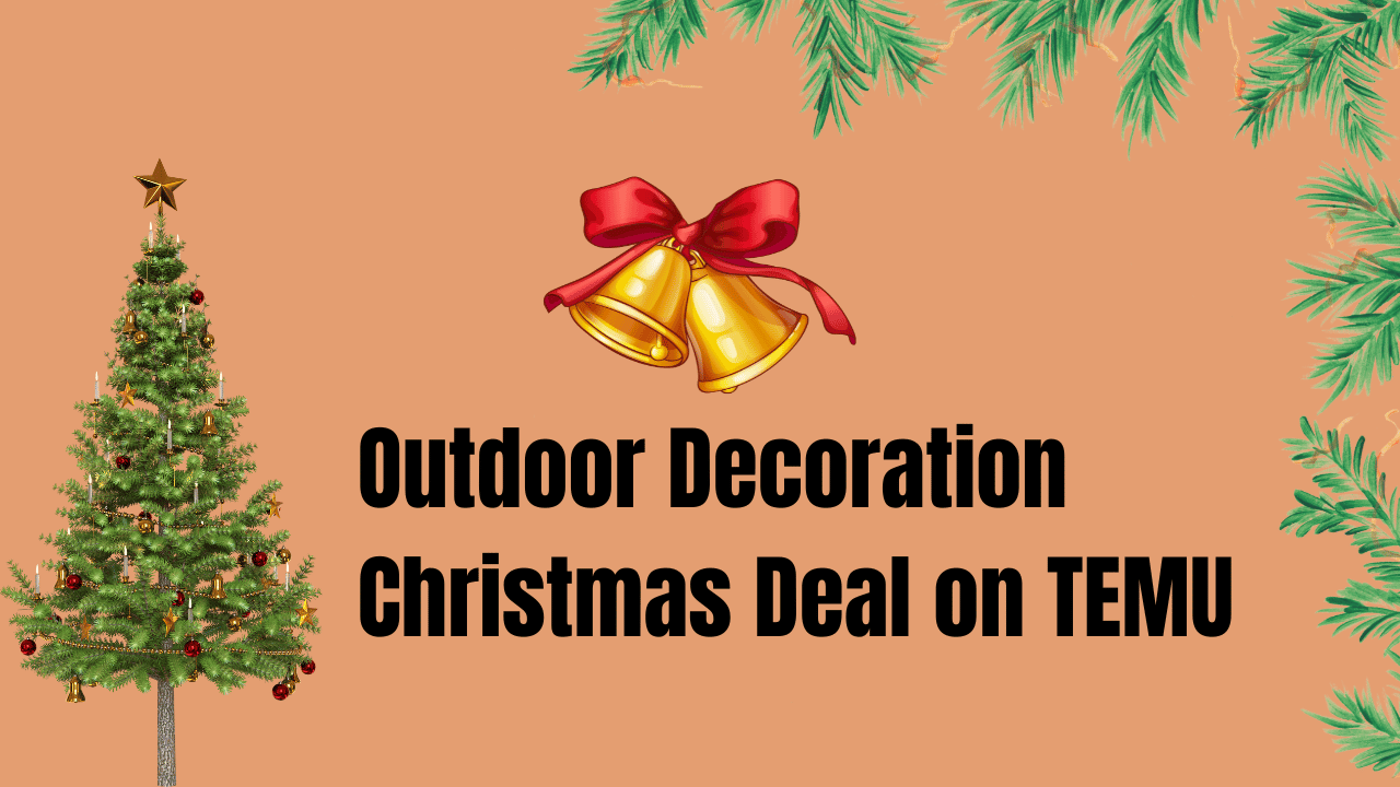 How to Get Outdoor Decoration Christmas Deal on TEMU?